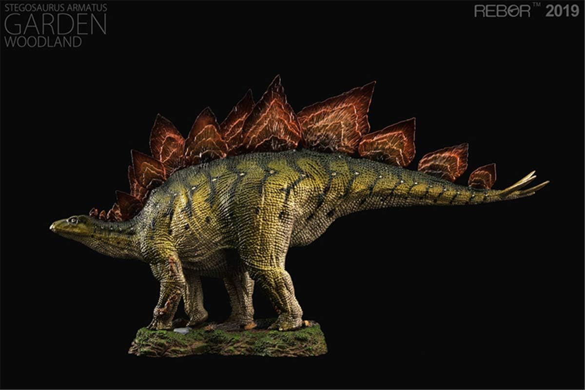 Rebor 2019 1/35 サイズ ステゴサウルス 台座付き ジュラシック 装甲 剣竜類 恐竜 リアル フィギュア PVC プラモデル 模型 大人のおもちゃ プレゼント プレミアム 28cm級 オリジナル インテリア 塗装済 置物 (森林 (Woodland))