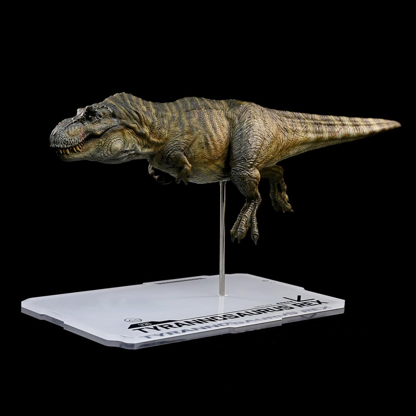 DINO DREAM 1/30 サイズ ティラノサウルス 水泳ポーズ フィギュア 全身 40cm級 白亜紀 獣脚類 恐竜 台座付け リアル 樹脂 プラモデル 模型 塗装済 置物 [並行輸入品]