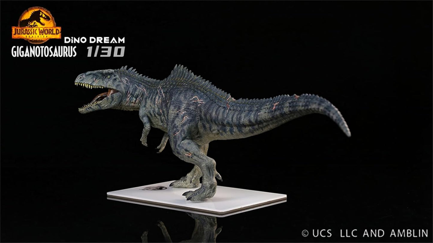 DINO DREAM 1/30 サイズ ギガノトサウルス 限定版 44.5cm級 The King of the Border カルカロドントサウルス科 PVC 樹脂 恐竜 大型 肉食 リアル フィギュア プラモデル 模型 プレゼント オリジナル 塗装済 完成品 置物