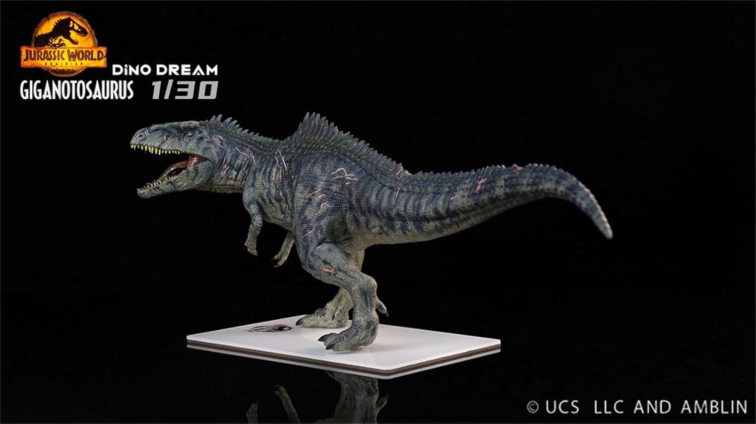 DINO DREAM 1/30 サイズ ギガノトサウルス 限定版 44.5cm級 The King of the Border カルカロドントサウルス科 PVC 樹脂 恐竜 大型 肉食 リアル フィギュア プラモデル 模型 プレゼント オリジナル 塗装済 完成品 置物