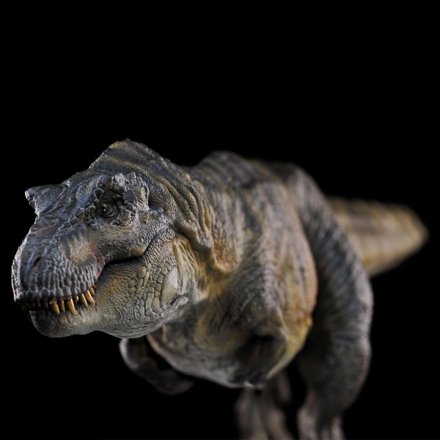 DINO DREAM 1/30 サイズ ティラノサウルス 水泳ポーズ フィギュア 全身 40cm級 白亜紀 獣脚類 恐竜 台座付け リアル 樹脂 プラモデル 模型 塗装済 置物 [並行輸入品]