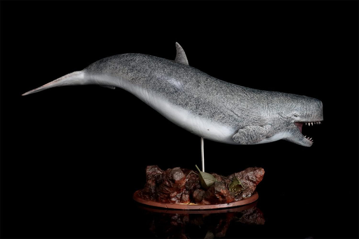1/35 Scale Leviatan Merbilley, Whale, Statue, Resin Model, Sea Animal, Realistic Figure, Plastic Model, Garage, Kit, Adult Toy Object, 17.7 inches (45 cm), Grade with Base (Painted)
