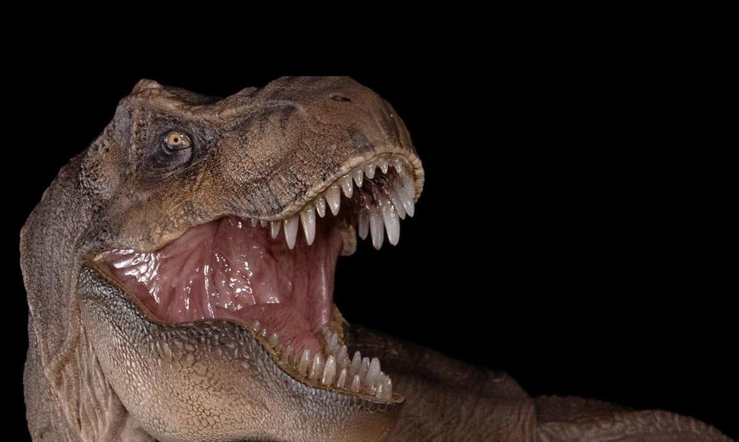 Nanmu 本心楠改 ティラノサウルス フィギュア 3.0 Tレックス T-REX メス オス 関節可動 可動式 42CM級 肉食 恐竜 リアル PVC+POM プラモデル おもちゃ 模型 置物 完成品 情景セット (172275 メス)