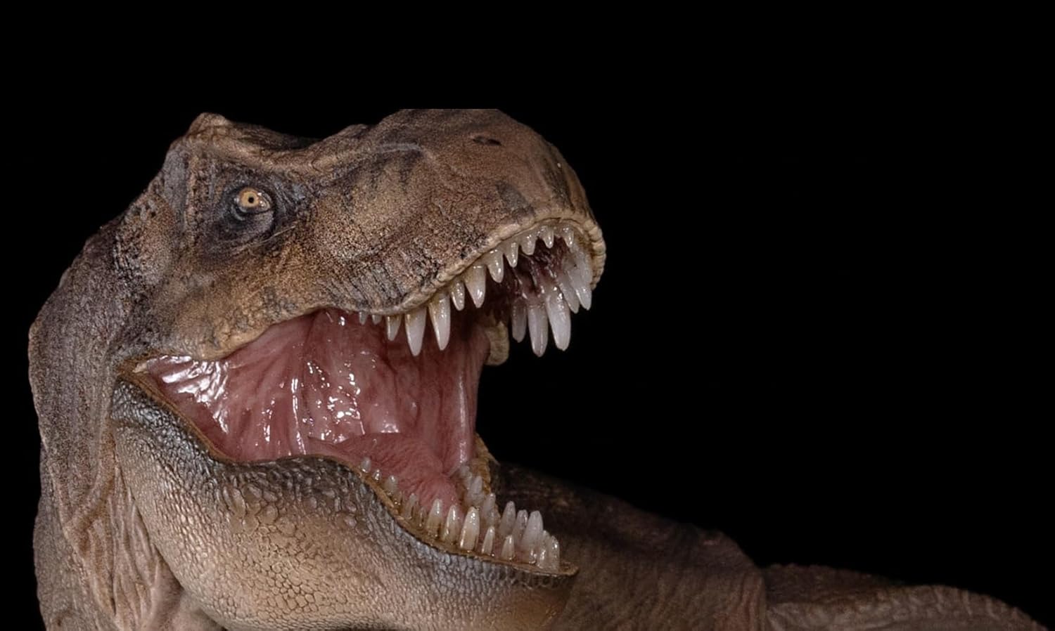 Nanmu 本心楠改 ティラノサウルス フィギュア 3.0 Tレックス T-REX メス オス 関節可動 可動式 42CM級 肉食 恐竜 リアル PVC+POM プラモデル おもちゃ 模型 置物 完成品 情景セット (172275 メス)