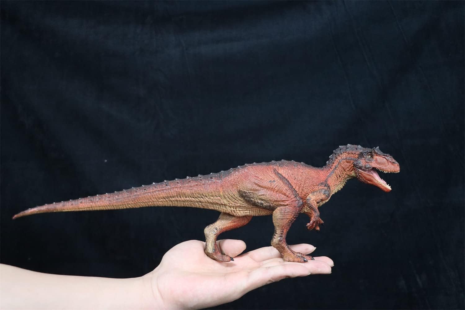 Rebor 1/35サイズ サウロファガナクス 異竜 肉食獣脚類 アロサウルス科 恐竜 フィギュア プラモデル おもちゃ 模型 リアル PVC プレゼント プレミアム 41.5cm級 オリジナル 塗装済 完成品 (火山洞窟)