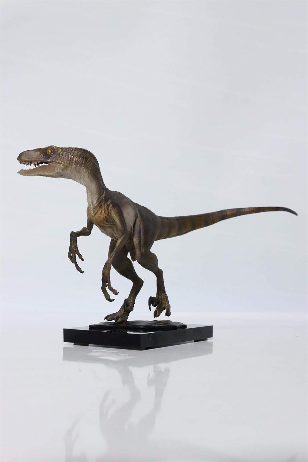 DINO DREAM ヴェロキラプトル 恐竜 肉食 リアル フィギュア PVC プラモデル おもちゃ 模型 プレゼント プレミアム 20cm級 オリジナル スタチュー 塗装済 完商品の画像