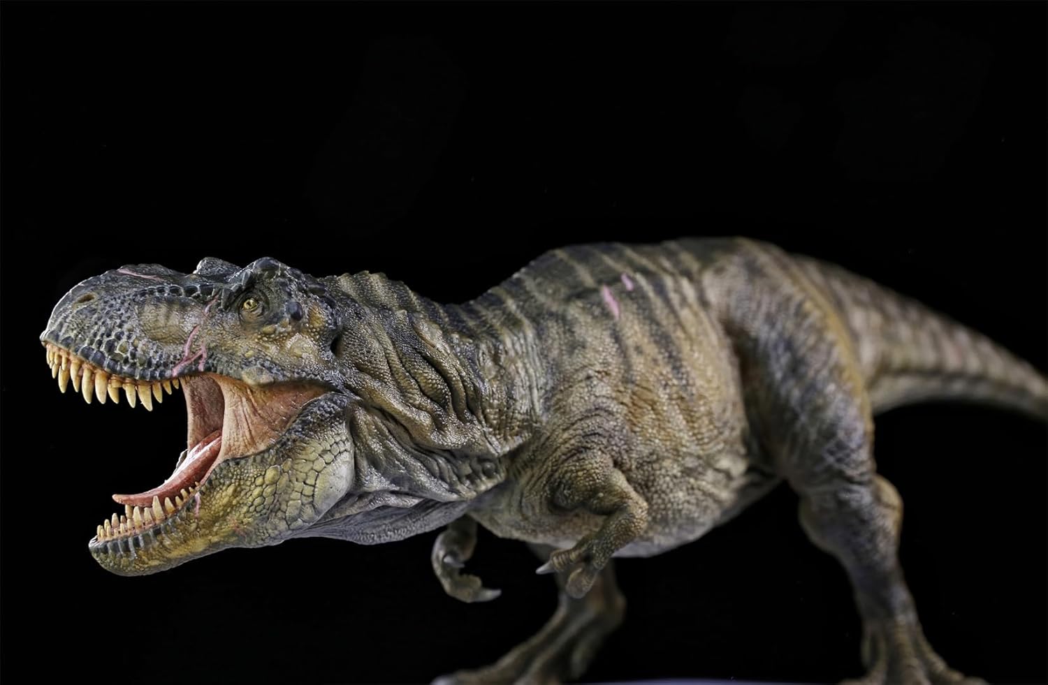 DINO DREAM 2025 1/30 サイズ ティラノサウルス フィギュア 全身 40cm級 白亜紀 獣脚類 大きい 肉食 恐竜 台座付け リアル 大人のコレクション 樹脂 プラモデル 模型 塗装済 置物 [並行輸入品]