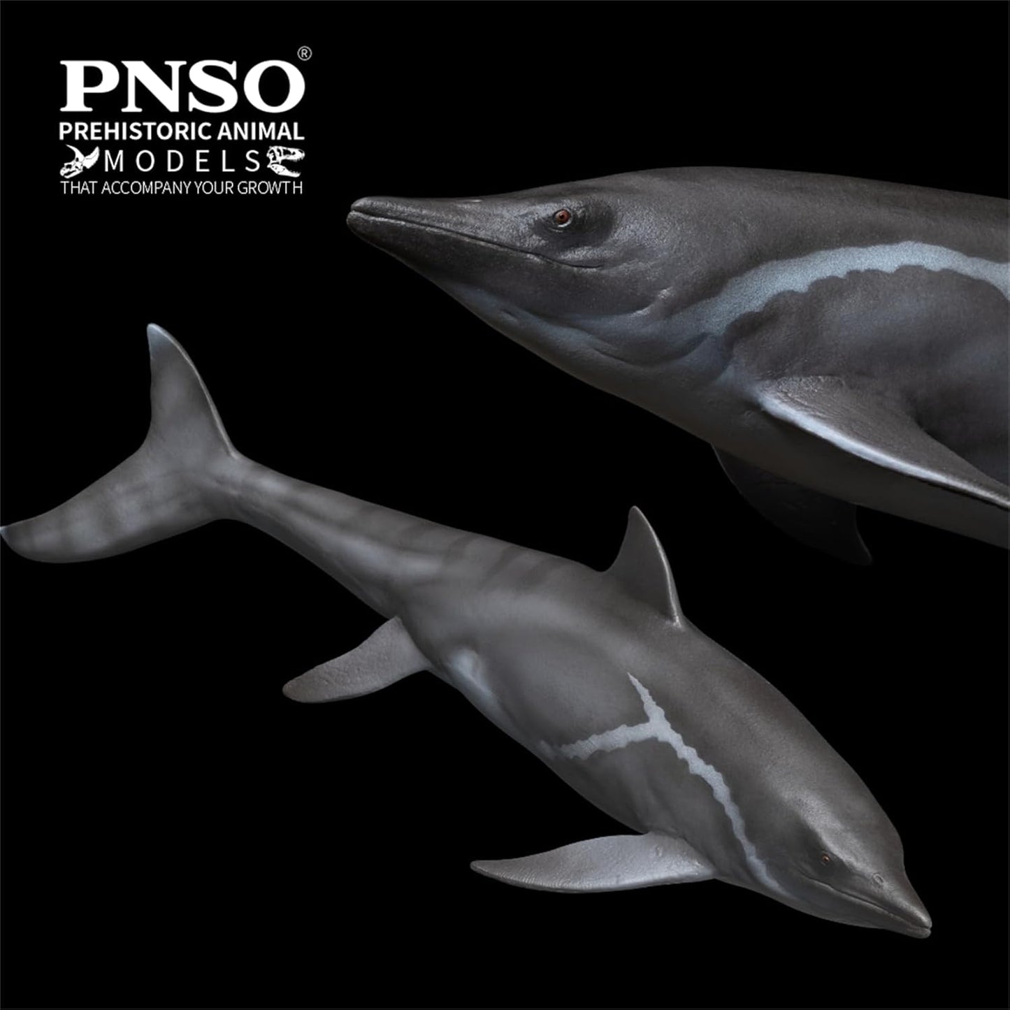 PNSO 成長シリーズ 92 魚竜 グアンリンゴサウルス フィギュア シャスタサウルス 三畳紀 28.3cm級 恐竜 PVC おもちゃ 模型