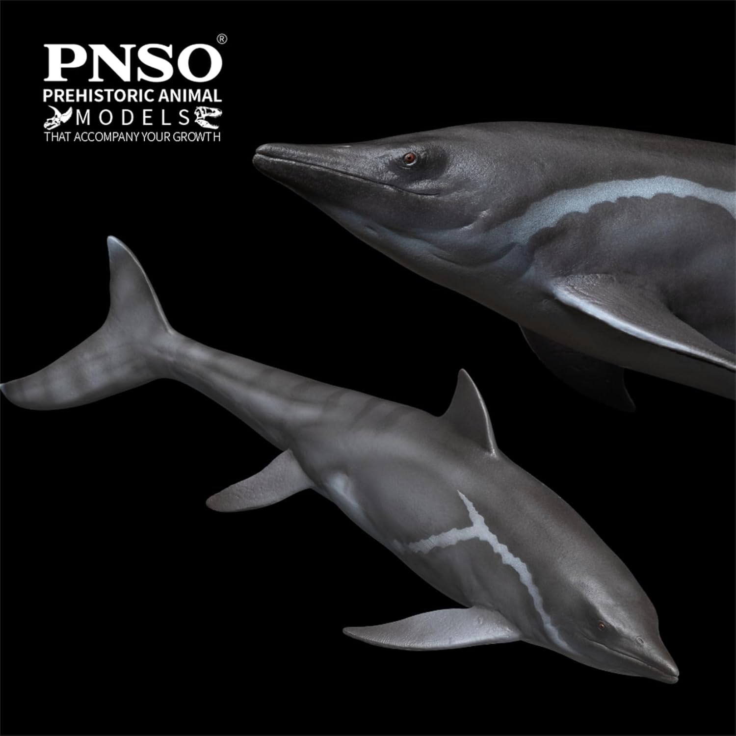 PNSO 成長シリーズ 92 魚竜 グアンリンゴサウルス フィギュア シャスタサウルス 三畳紀 28.3cm級 恐竜 PVC おもちゃ 模型