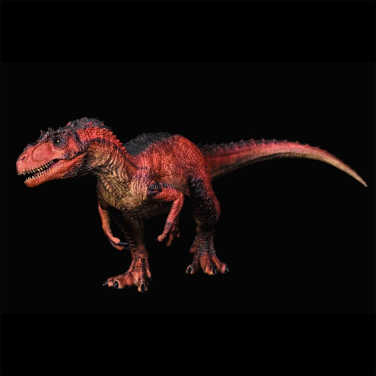 Rebor 1/35サイズ サウロファガナクス 異竜 肉食獣脚類 アロサウルス科 恐竜 フィギュア プラモデル おもちゃ 模型 リアル PVC プレゼント プレミアム 41.5cm級 オリジナル 塗装済 完成品 (火山洞窟)
