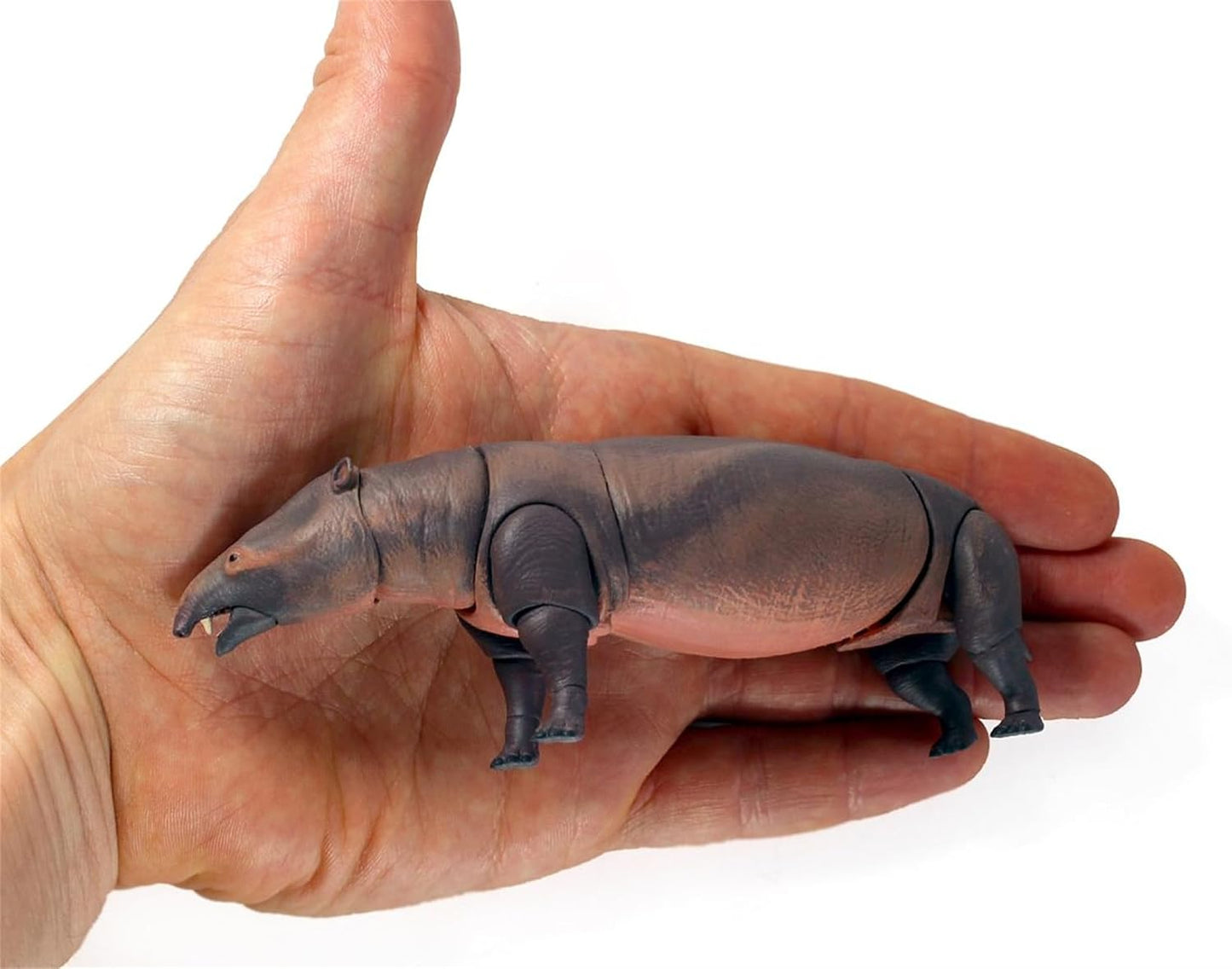 Beasts of the Mesozoic/Cenozoic 中生代の獣 1/18 モエリテリウム 始新世 恐竜 フィギュア 13.5cm 全身18箇所可動 モエリテリウム科 PVC製 模型 プラモデル おもちゃ 自立 展示 模型 玩具 関節おもちゃ