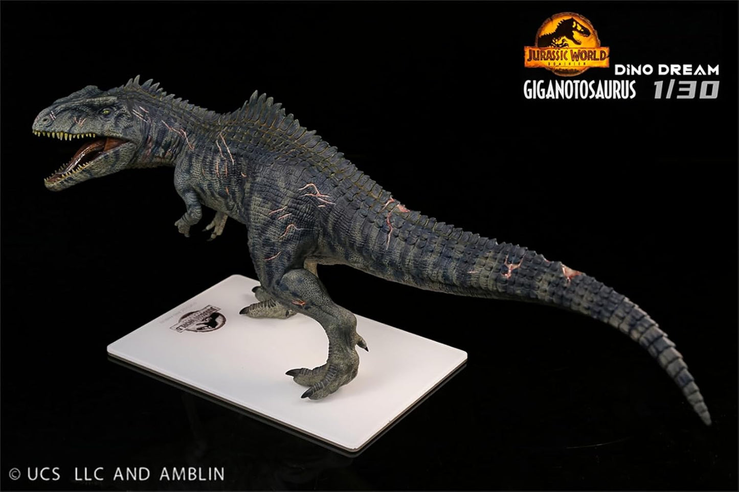DINO DREAM 1/30 サイズ ギガノトサウルス 限定版 44.5cm級 The King of the Border カルカロドントサウルス科 PVC 樹脂 恐竜 大型 肉食 リアル フィギュア プラモデル 模型 プレゼント オリジナル 塗装済 完成品 置物