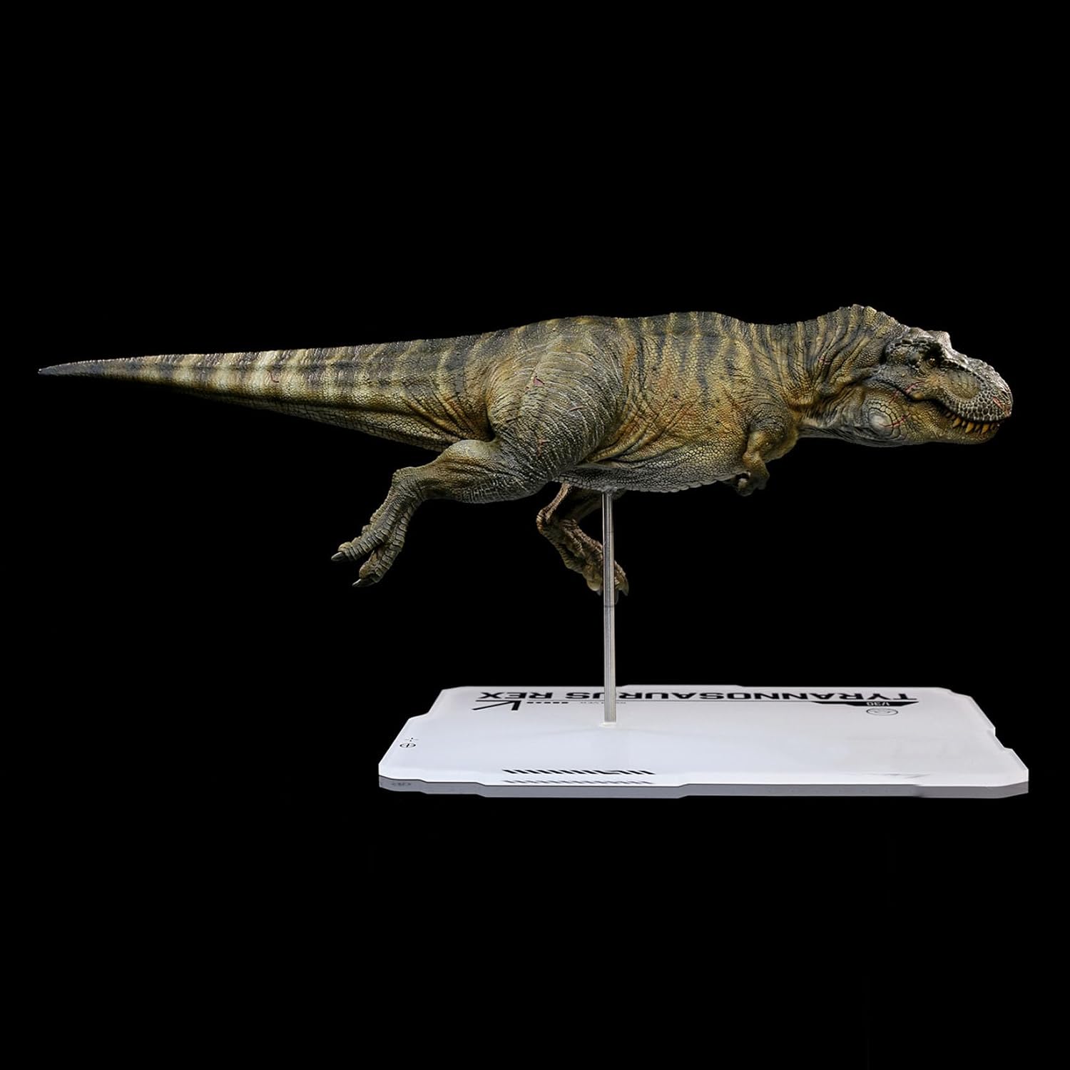 DINO DREAM 1/30 サイズ ティラノサウルス 水泳ポーズ フィギュア 全身 40cm級 白亜紀 獣脚類 恐竜 台座付け リアル 樹脂 プラモデル 模型 塗装済 置物 [並行輸入品]