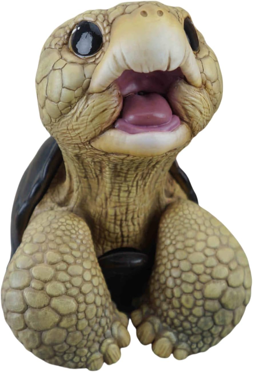 博物志 アカアシガメ ガラパゴスゾウガメ リクガメ 7-11CM級 樹脂 フィギュア 亀好き 爬虫綱 亀 動物 可愛い リアル プラモデル おもちゃ 模型 置物 (ガラパゴスゾウガメ) [並行輸入品]