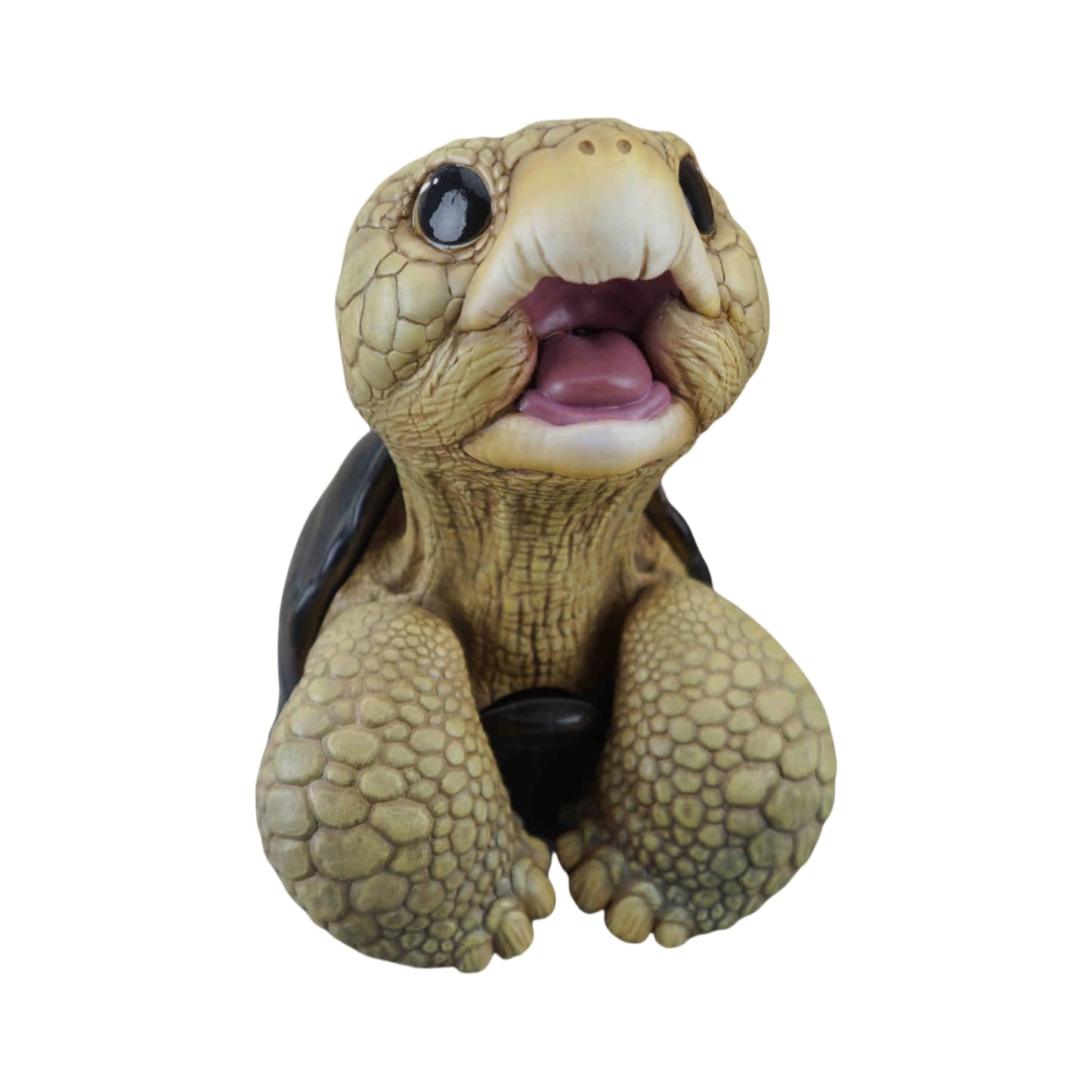 博物志 アカアシガメ ガラパゴスゾウガメ リクガメ 7-11CM級 樹脂 フィギュア 亀好き 爬虫綱 亀 動物 可愛い リアル プラモデル おもちゃ 模型 置物 (ガラパゴスゾウガメ) [並行輸入品]