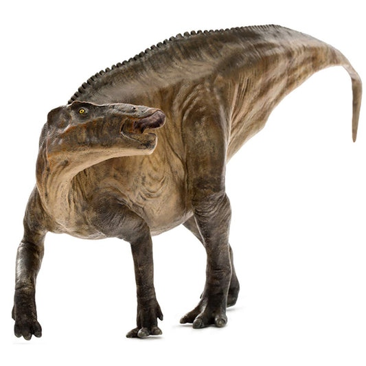PNSO シャントゥンゴサウルス Shantungosaurus 山東龍 恐竜 リアル フィギュア PVC プラモデル おもちゃ 模型 37cm級