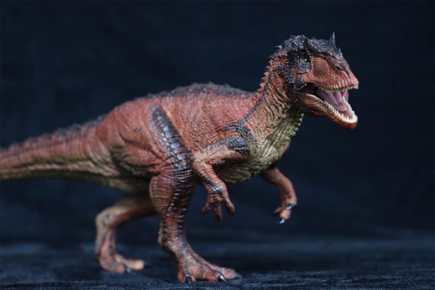 Rebor 1/35サイズ サウロファガナクス 異竜 肉食獣脚類 アロサウルス科 恐竜 フィギュア プラモデル おもちゃ 模型 リアル PVC プレゼント プレミアム 41.5cm級 オリジナル 塗装済 完成品 (火山洞窟)