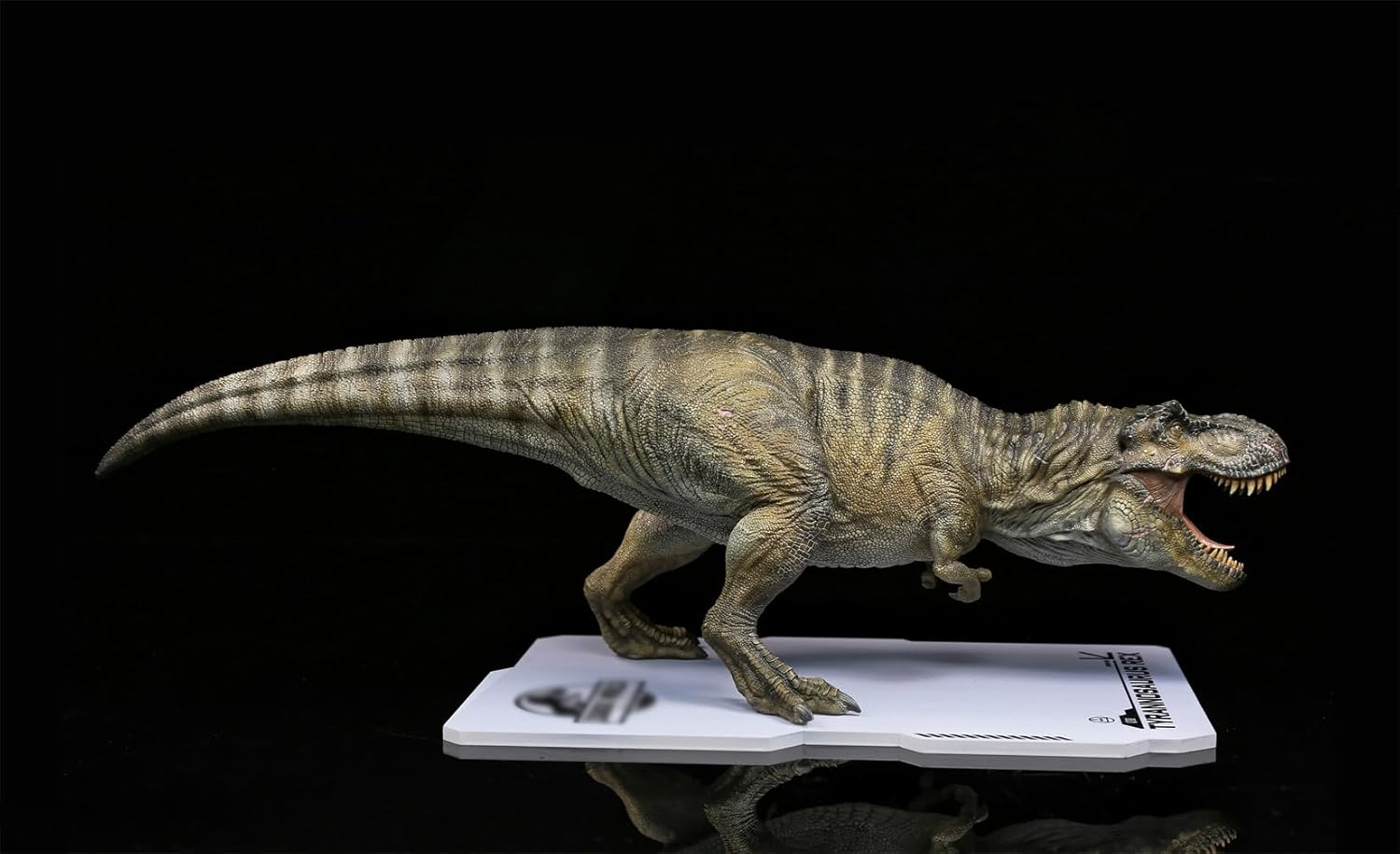 DINO DREAM 2025 1/30 サイズ ティラノサウルス フィギュア 全身 40cm級 白亜紀 獣脚類 大きい 肉食 恐竜 台座付け リアル 大人のコレクション 樹脂 プラモデル 模型 塗装済 置物 [並行輸入品]