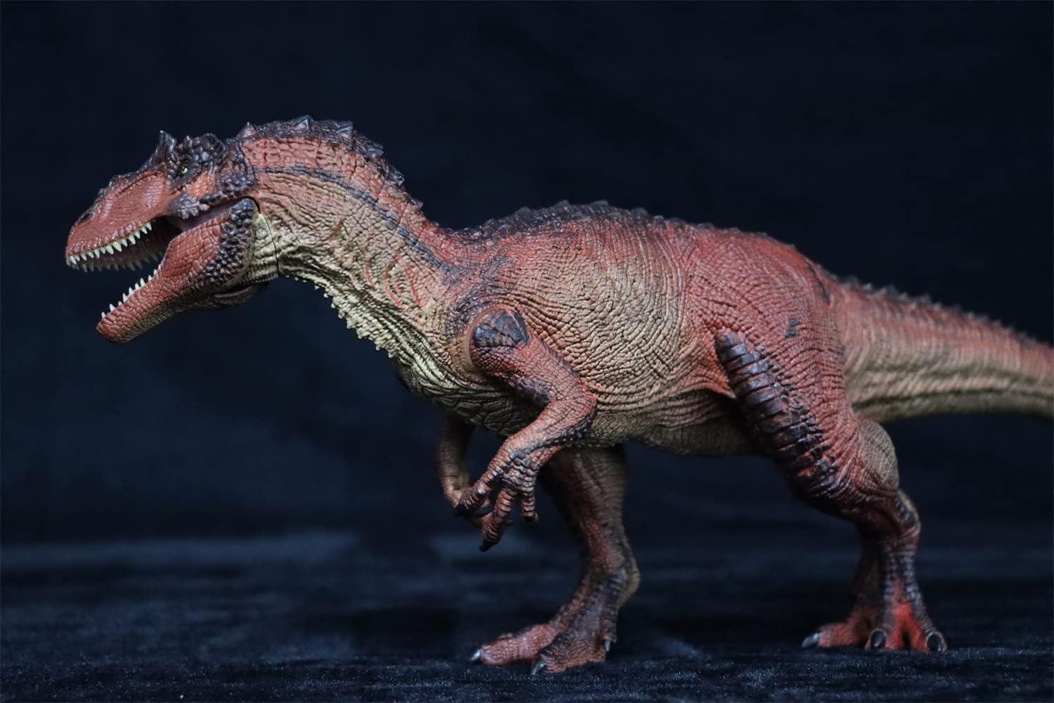 Rebor 1/35サイズ サウロファガナクス 異竜 肉食獣脚類 アロサウルス科 恐竜 フィギュア プラモデル おもちゃ 模型 リアル PVC プレゼント プレミアム 41.5cm級 オリジナル 塗装済 完成品 (火山洞窟)