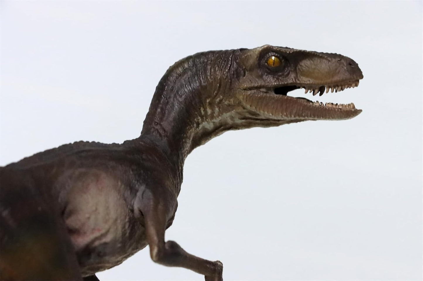 DINO DREAM ヴェロキラプトル 恐竜 肉食 リアル フィギュア PVC プラモデル おもちゃ 模型 プレゼント プレミアム 20cm級 オリジナル スタチュー 塗装済 完商品の画像