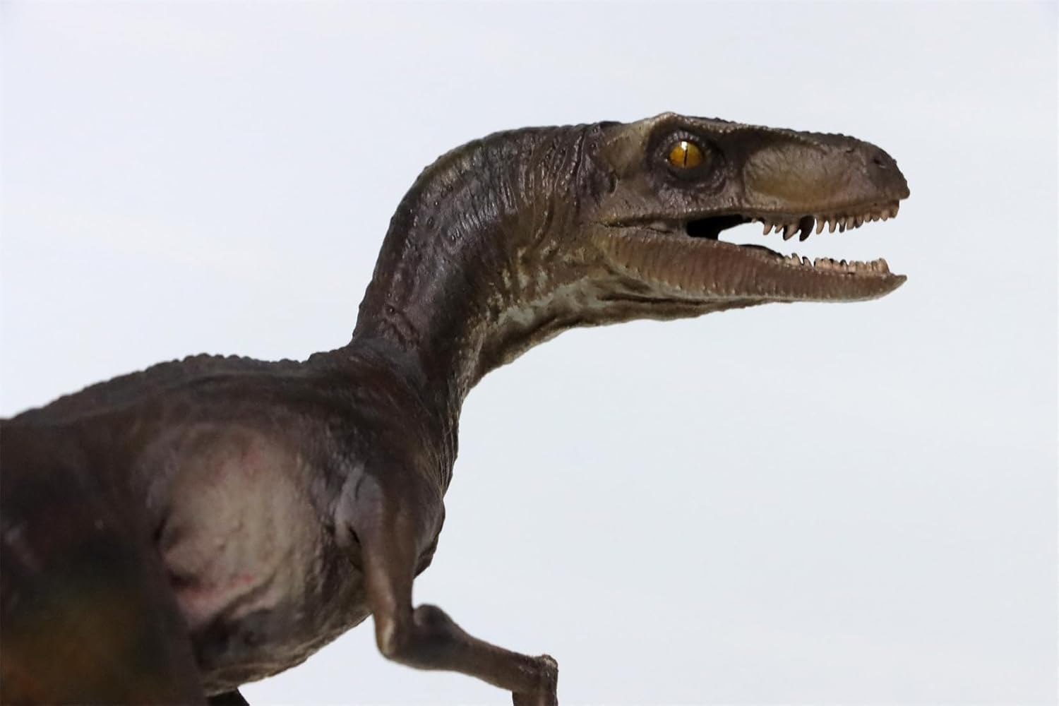 DINO DREAM ヴェロキラプトル 恐竜 肉食 リアル フィギュア PVC プラモデル おもちゃ 模型 プレゼント プレミアム 20cm級 オリジナル スタチュー 塗装済 完商品の画像