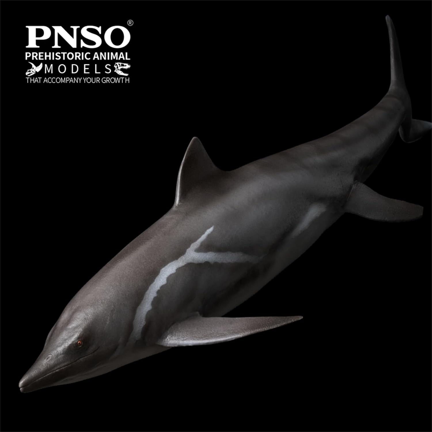 PNSO 成長シリーズ 92 魚竜 グアンリンゴサウルス フィギュア シャスタサウルス 三畳紀 28.3cm級 恐竜 PVC おもちゃ 模型