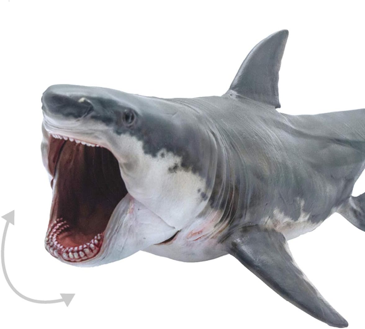 PNSO メガロドン ホホジロザメ パットン サメ 海洋動物 フィギュア PVC モデル プラモデル おもちゃ 15.8cm