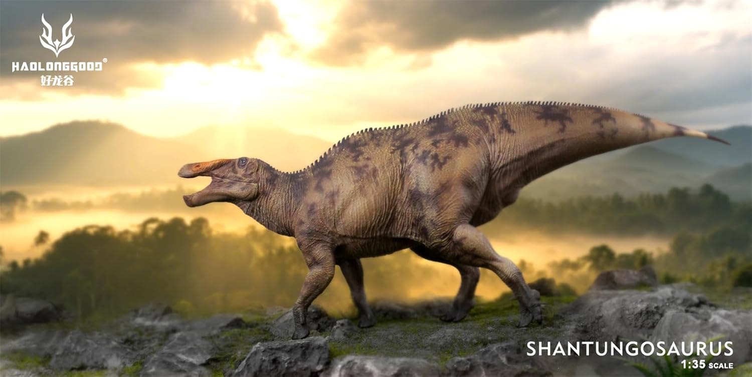 HAOLONGGOOD 1/35 サイズ シャントゥンゴサウルス 39cm級 PVC CE認証
