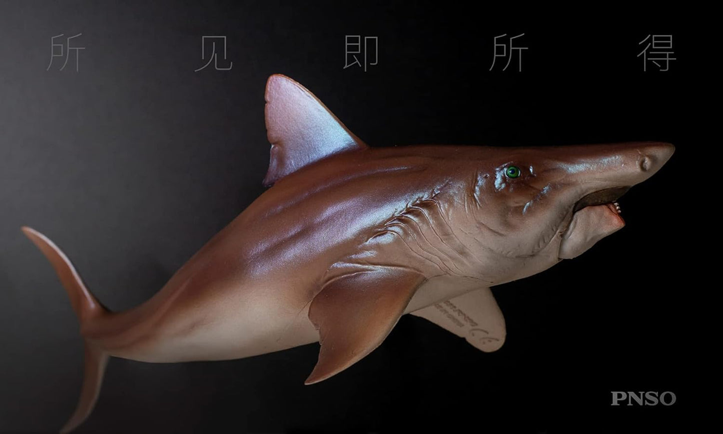 PNSO 成長シリーズ ヘリコプリオン 動物 フィギュア プラモデル おもちゃ 模型 PVC 21cm級