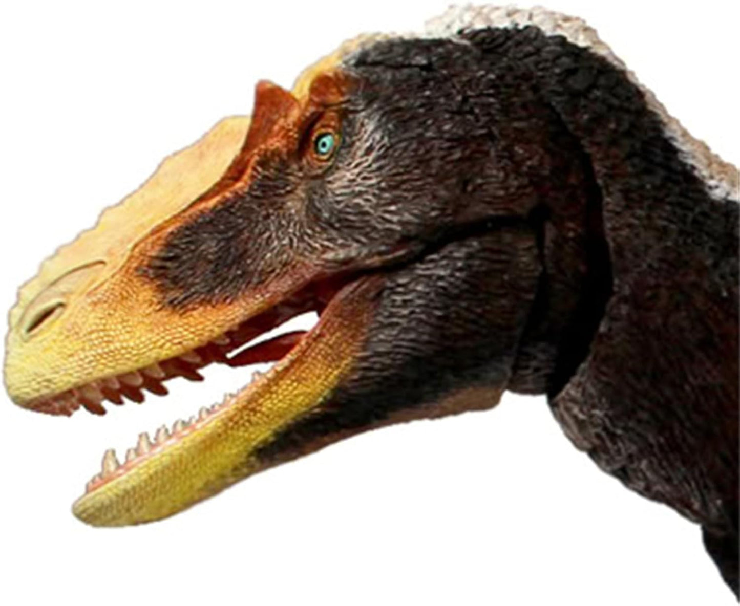 Beasts of the Mesozoic/Cenozoic Medieval Beasts 1/18 Utilanus Cretaceous Prokeratosaurus Dinosaur Figure 16" 22 Movable PVC Model Plastic Model Toy Freestanding Display Model Toy Joint Toy