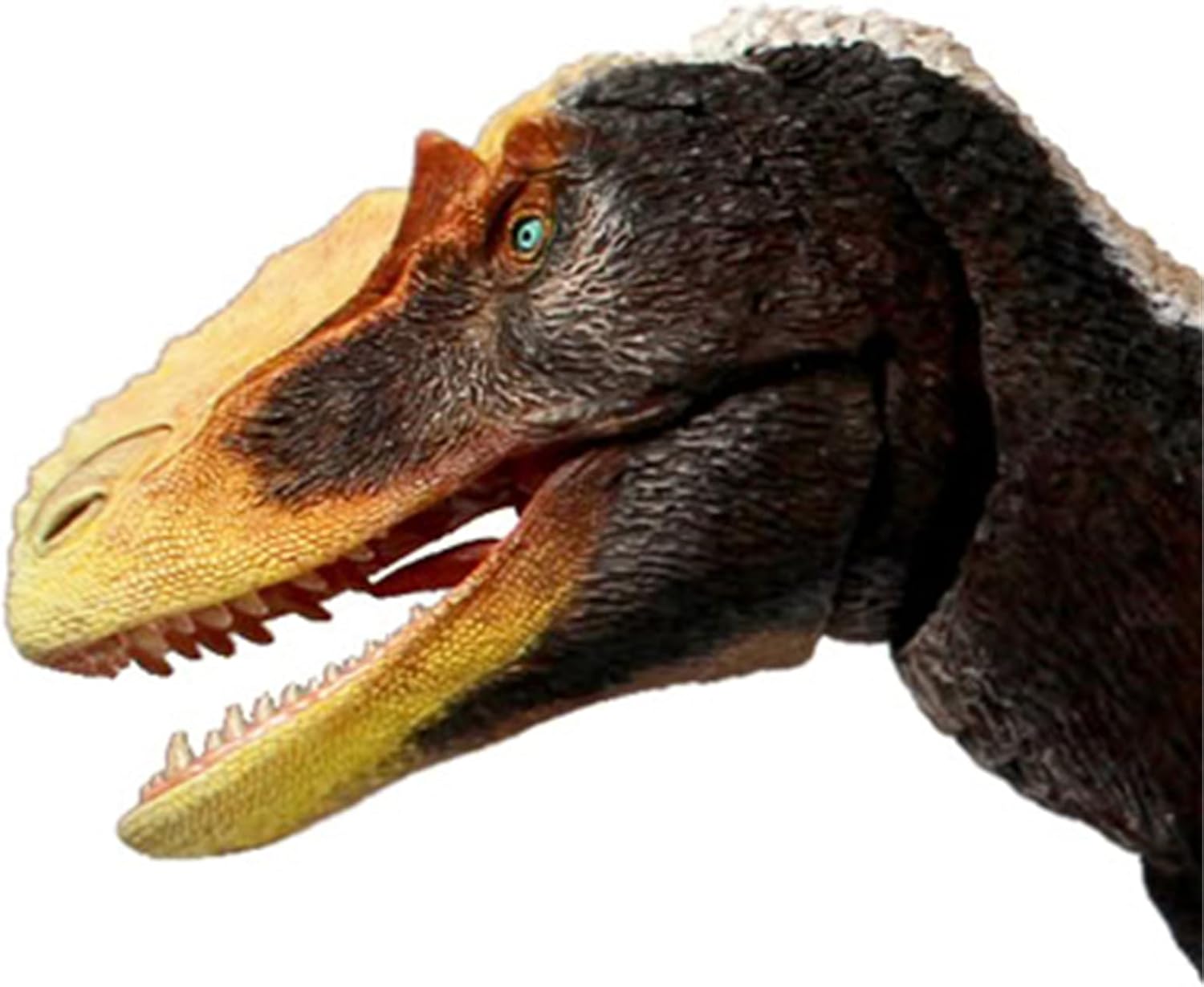 Beasts of the Mesozoic/Cenozoic Medieval Beasts 1/18 Utilanus Cretaceous Prokeratosaurus Dinosaur Figure 16" 22 Movable PVC Model Plastic Model Toy Freestanding Display Model Toy Joint Toy