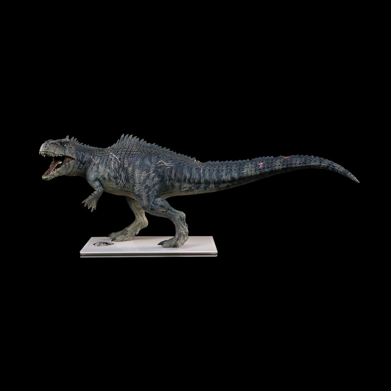 DINO DREAM 1/30 サイズ ギガノトサウルス 限定版 44.5cm級 The King of the Border カルカロドントサウルス科 PVC 樹脂 恐竜 大型 肉食 リアル フィギュア プラモデル 模型 プレゼント オリジナル 塗装済 完成品 置物
