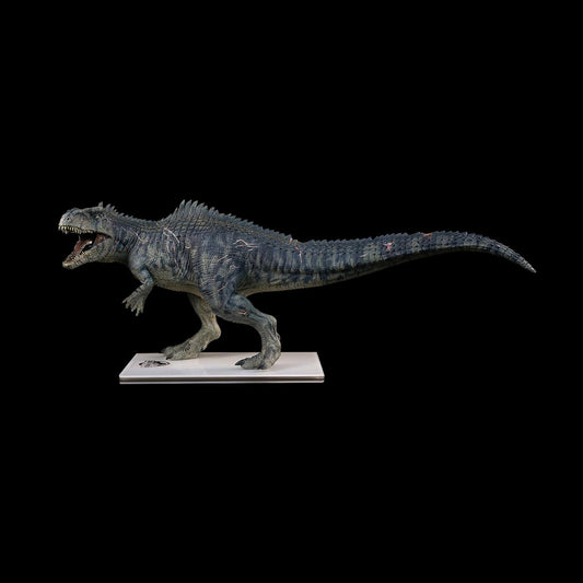 DINO DREAM 1/30 サイズ ギガノトサウルス 限定版 44.5cm級 The King of the Border カルカロドントサウルス科 PVC 樹脂 恐竜 大型 肉食 リアル フィギュア プラモデル 模型 プレゼント オリジナル 塗装済 完成品 置物