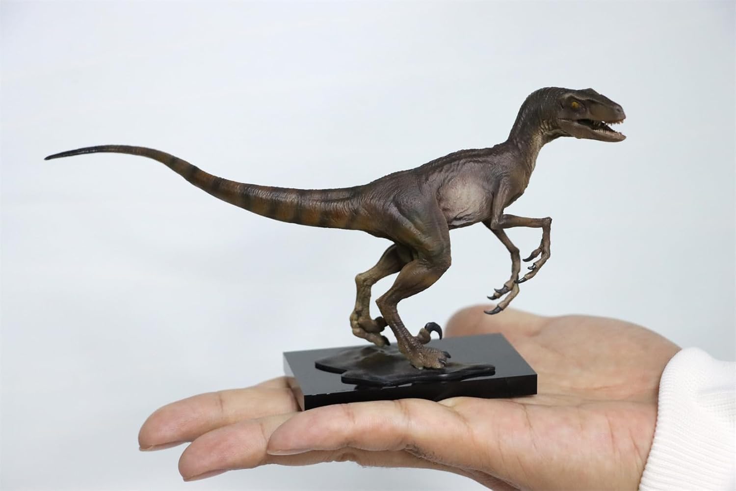 DINO DREAM ヴェロキラプトル 恐竜 肉食 リアル フィギュア PVC プラモデル おもちゃ 模型 プレゼント プレミアム 20cm級 オリジナル スタチュー 塗装済 完商品の画像