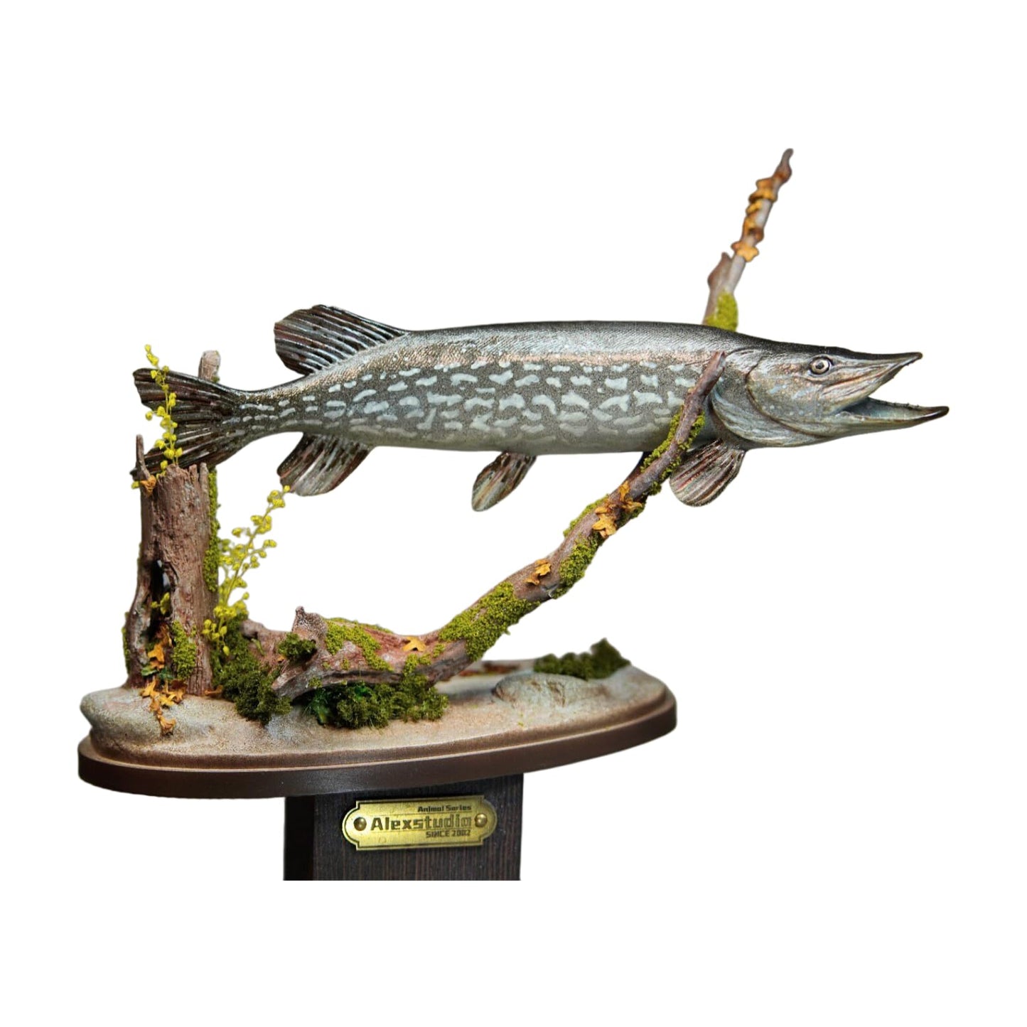 Alex STUDIO ノーザンパイク フィギュア 魚 カワカマス属 動物 淡水魚 リアル 樹脂 プラモデル 大人のおもちゃ 模型 プレゼント 置物 台座付き (1/6) [並行輸入品]