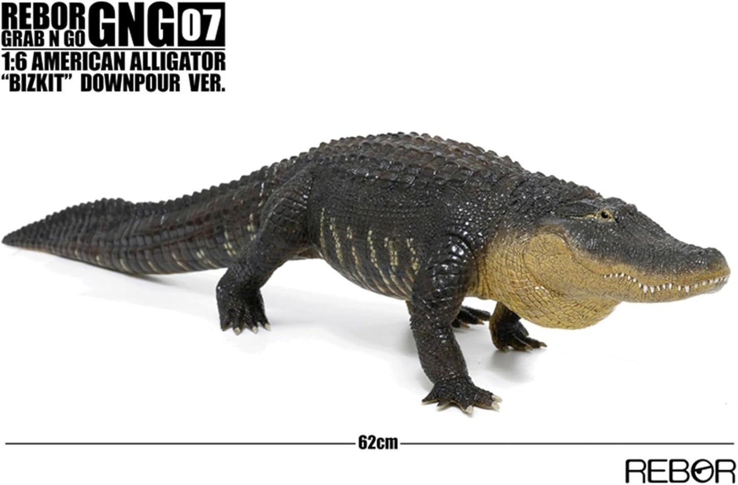 BACALYSO | REBOR 1/6 サイズ アメリカアリゲーター 動物 フィギュア ワニ アリゲーター属 ミシシッピワニ 62cm級 大口 恐ろしい 模型 情景 セット プラモデル 大人 おもちゃ オブジェ 置物 プレゼント 完成品 (ブラック)