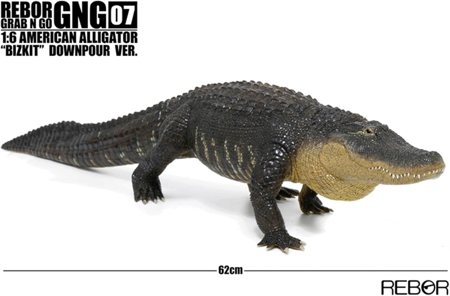 BACALYSO | REBOR 1/6 サイズ アメリカアリゲーター 動物 フィギュア ワニ アリゲーター属 ミシシッピワニ 62cm級 大口 恐ろしい 模型 情景 セット プラモデル 大人 おもちゃ オブジェ 置物 プレゼント 完成品 (ブラック)