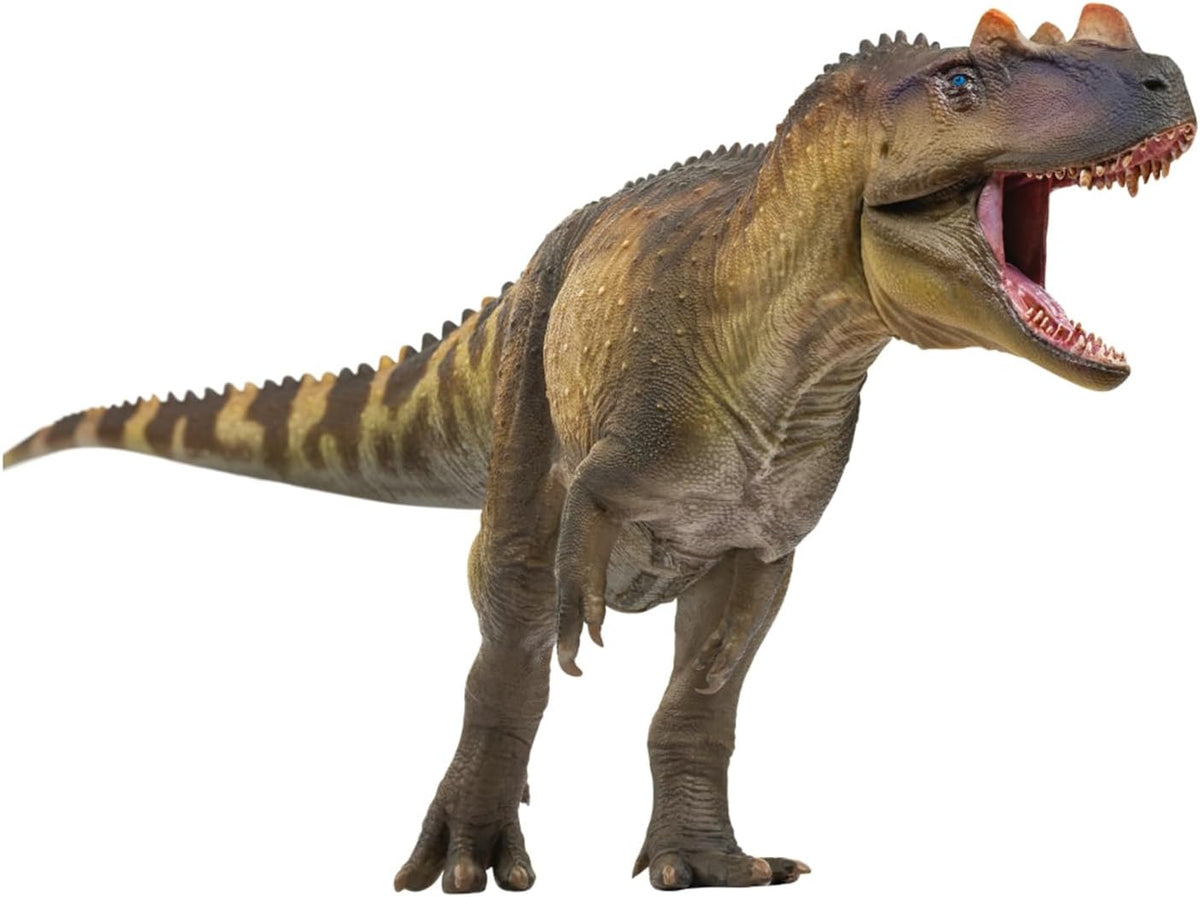 PNSO 成長シリーズ 98 ケラトサウルス フィギュア ジュラ紀 ケラトサウルス科 獣脚類 24.5cm級 恐竜 PVC おもちゃ 模型 恐竜好き [並行輸入品]