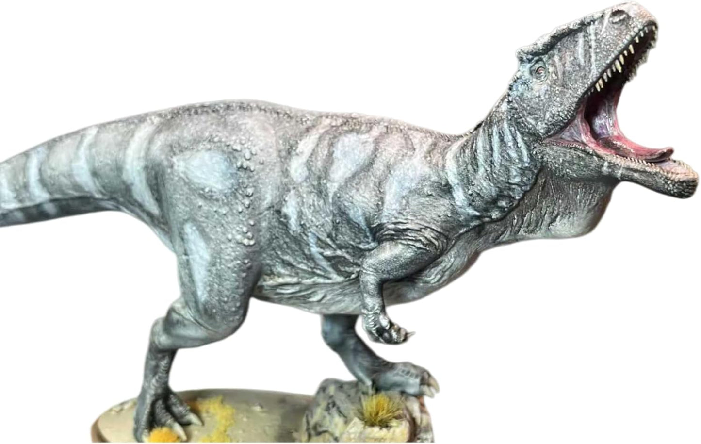 Alex STUDIO カルカロドントサウルス フィギュア 30CM 白亜紀 獣脚類 恐竜 カルカロドントサウルス科 リアル 樹脂 プラモデル 大人のおもちゃ 模型 プレゼント 置物 台座付き [並行輸入品]
