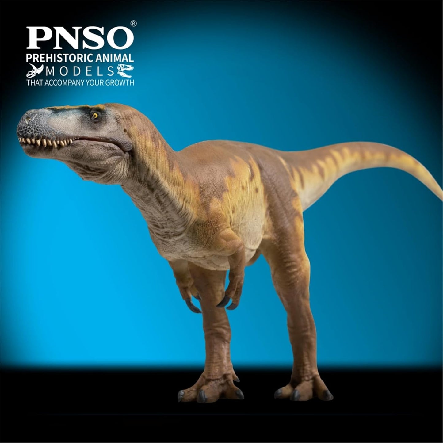 PNSO 成長シリーズ 74 メガロサウルス フィギュア 25.3cm級 恐竜 PVC おもちゃ 模型
