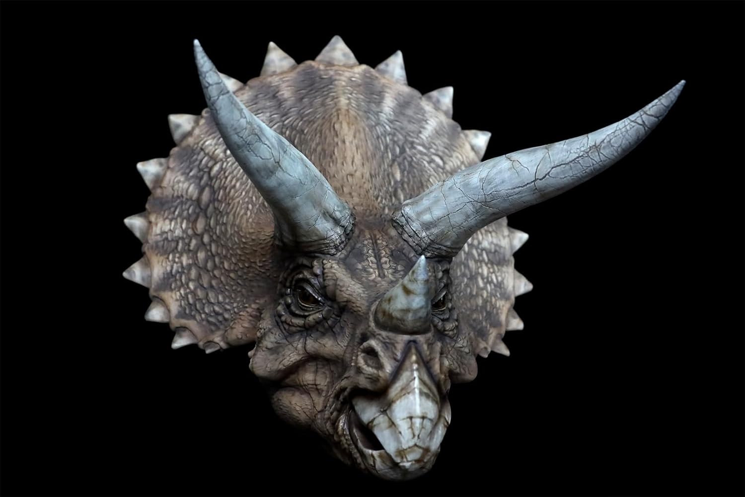 DINO DREAM 1/5 サイズ トリケラトプス 頭 ヘッド 恐竜 リアル フィギュア PVC プラモデル おもちゃ 模型 プレゼント プレミアム 38cm級 オリジナル スタチュー 塗装済 完成品 置物