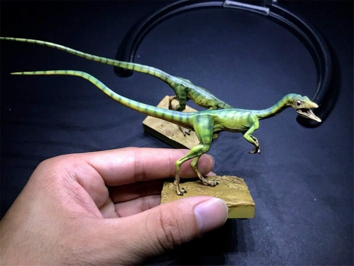 Dino Dream 1/5 サイズ 2点セット オスのコンプソグナトゥス 美顎龍 ジュラ紀 世界最小級 小型 肉食 恐竜 ジュラシック 恐竜 リアル フィギュア PVC モデル 模型 大人のおもちゃ プレゼント 15cm級 塗装済 台座付き