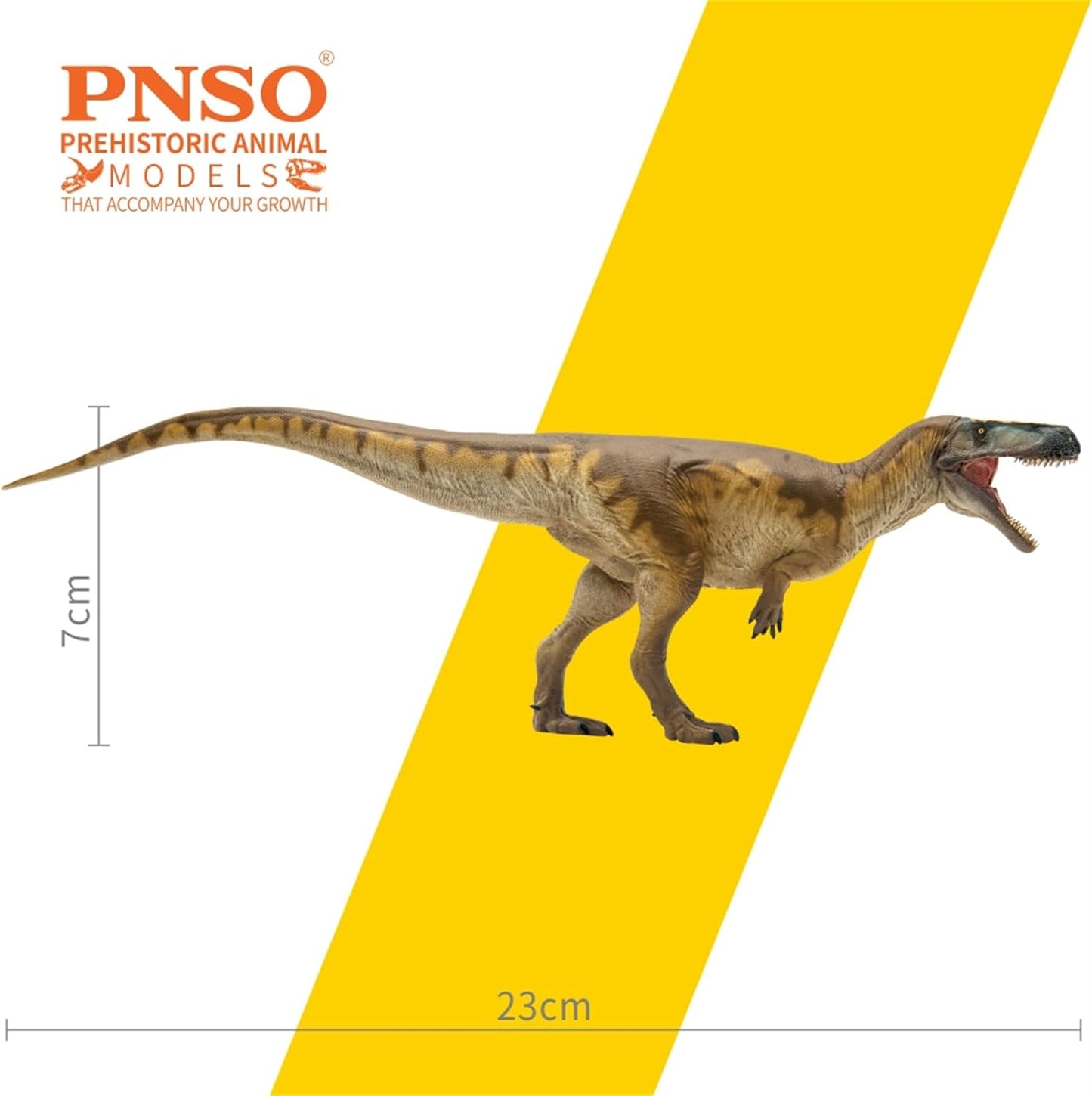 PNSO 成長シリーズ 74 メガロサウルス フィギュア 25.3cm級 恐竜 PVC おもちゃ 模型