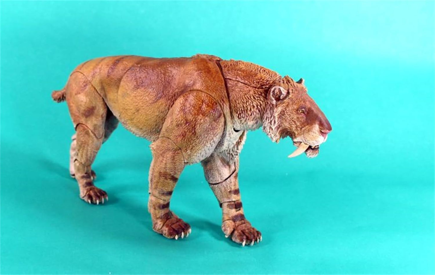 Creative Beast Studio 1/12 マカイロドゥス 剣歯虎 人形付き可動 更新世 動物 フィギュア 20CM級 サーベルタイガー マカイロドゥス亜科 PVC製 模型 プラモデル おもちゃ 自立 展示 模型 玩具 関節おもちゃ [並行輸入品]