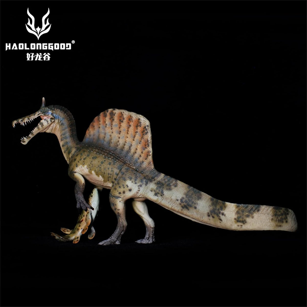 HAOLONGGOOD 1/35 スピノサウルス・ミラビリス フィギュア 28cm級 白亜紀 スピノサウルス科 恐竜 PVC製 CE認証 塗装済 リアル，190A [並行輸入品]