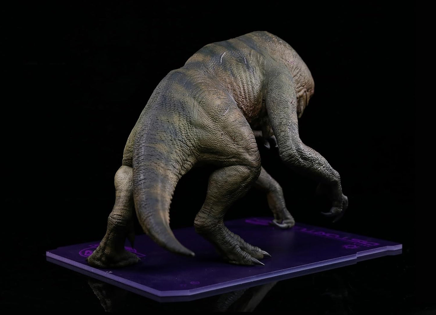 Dino Dream 1/30 Scale Modified Mutation, Tyrannosaurus, Jurassic Carnival, Dinosaur, 14.2 inches (36 cm), Realistic Figure, Resin, Plastic Model, Sex Toy, Model, Scene Set, Complete Figurine