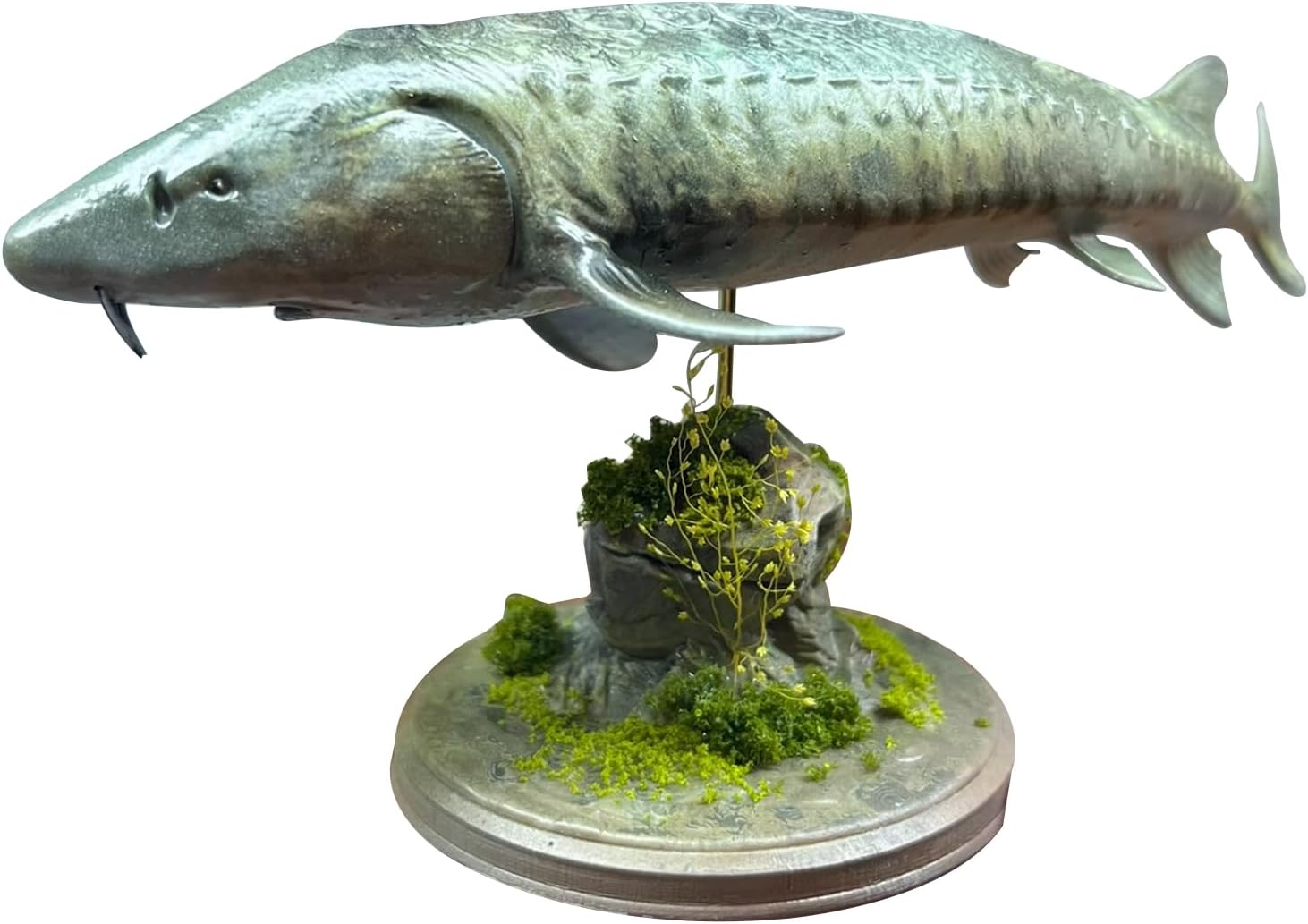 BACALYSO | ALEX STUDIO 1/35 Scale Sturgeon Figure, 4.7 inch (12 cm) Class, Fish, Chinese Sturgeon, Animal, Resin, Painted Statue, Cute, Realistic Animal, Plastic Model, Toy, Figurine