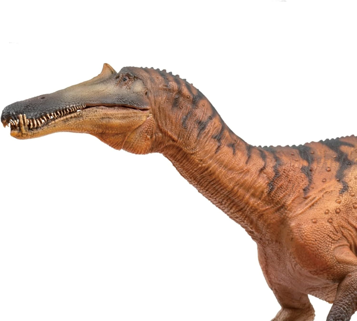 PNSO 成長シリーズ 66 シノプリオサウルス スピノサウルス科 恐竜 フィギュア プラモデル 模型