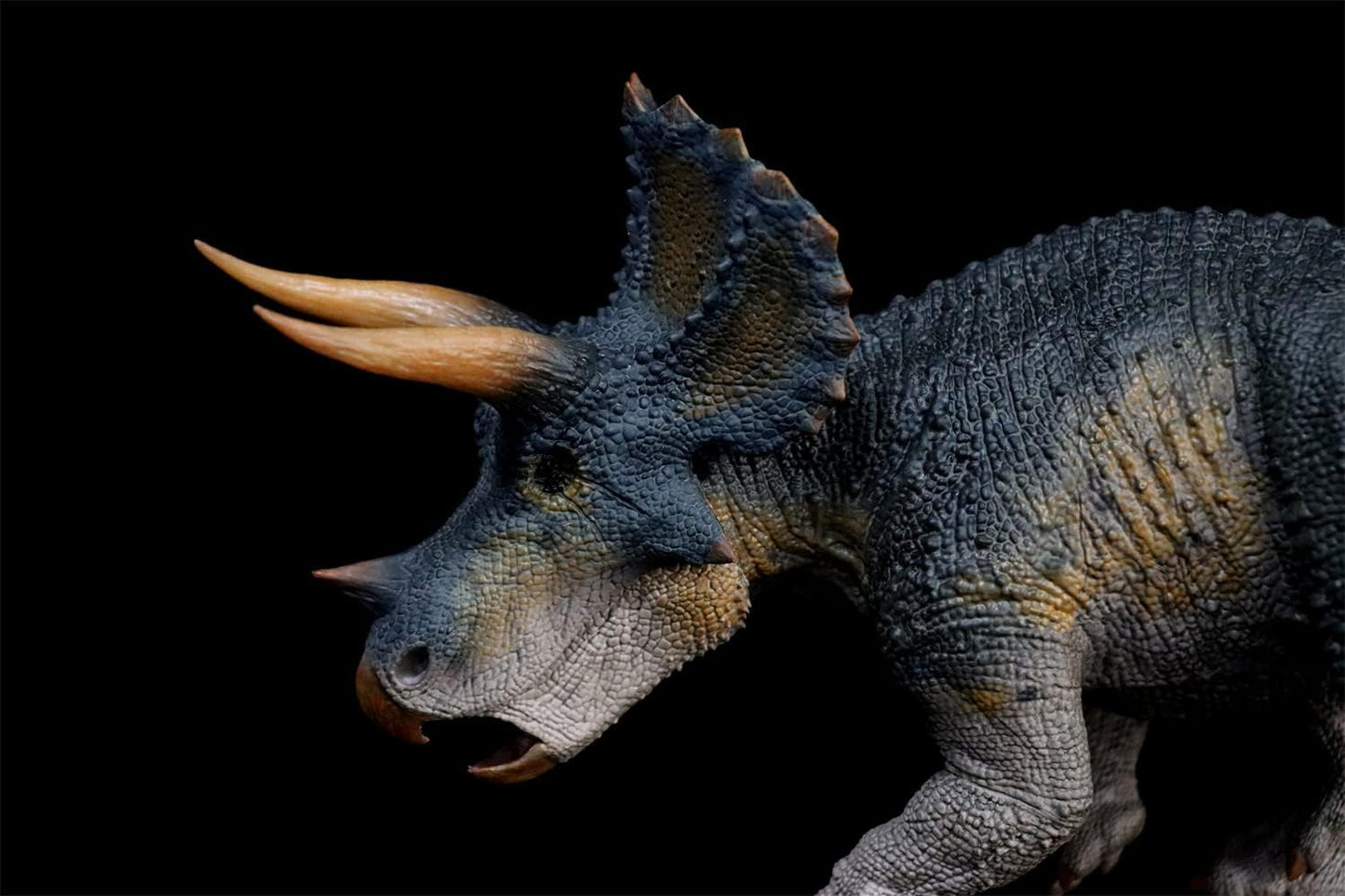Rebor 1/35 サイズ トリケラトプス Triceratops Horridus 三觭龍 ケラトプス科 プラモデル 大きい 恐竜 リアル フィギュア PVC 大人 おもちゃ 動物 模型 プレゼント オブジェ プレミアム 32cm級 オリジナル 塗装済 完成品 (帝王-版)