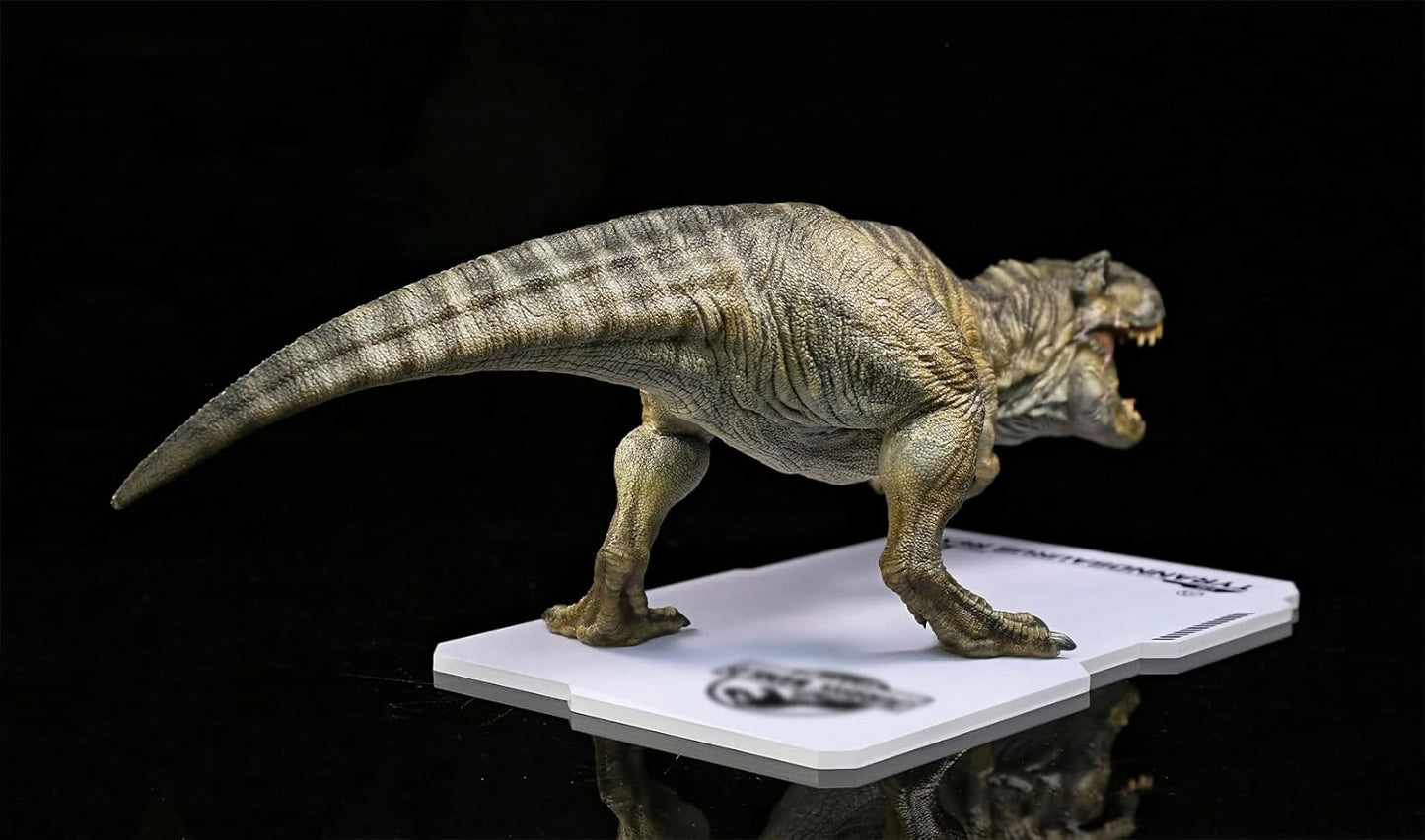 DINO DREAM 2025 1/30 サイズ ティラノサウルス フィギュア 全身 40cm級 白亜紀 獣脚類 大きい 肉食 恐竜 台座付け リアル 大人のコレクション 樹脂 プラモデル 模型 塗装済 置物 [並行輸入品]